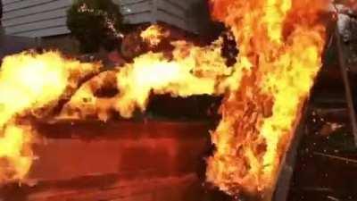 How to Paint Salamanders