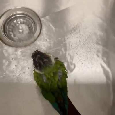 In the industry this is known as a cleancheek