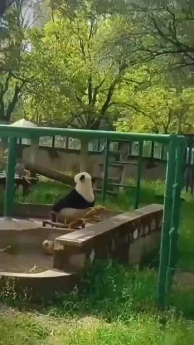 Очередное утро на TJ