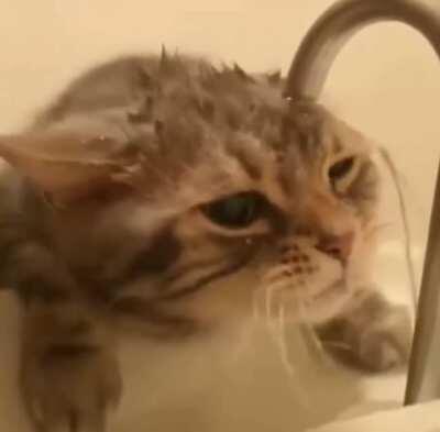 По усам хоть и бежало...