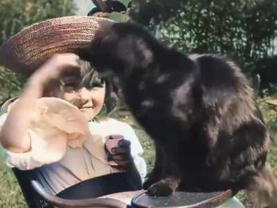 A cat video from 1899 colorized & speed corrected