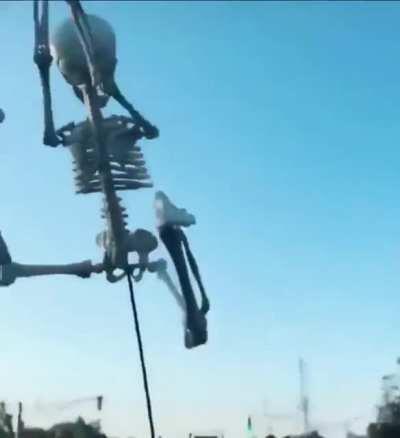 Brb, going to buy another skeleton