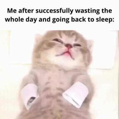 I can finally go back to sleeping soundly