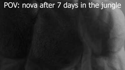 Wenn Nova zu 7 vs. wild in den Dschungel geht.