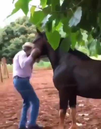 The dog in the background is thinking...