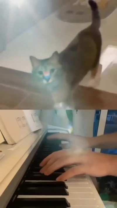 Талантливо