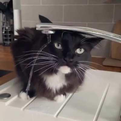 Must keep hydrated ⛲