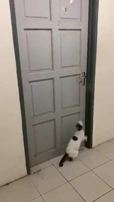 Fine. I'll do it myself.