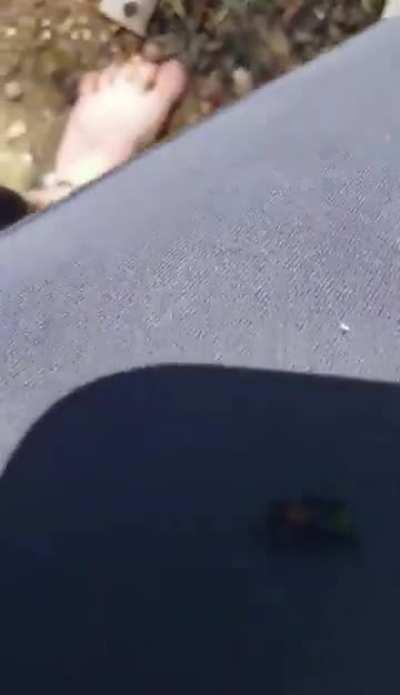 She really doesn’t care about your plants!