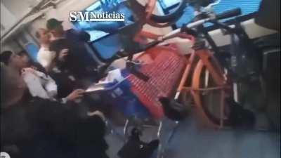 Un hombre muerde y golpea a un policia, termina  escapandose por la ventana (tren San Martín)