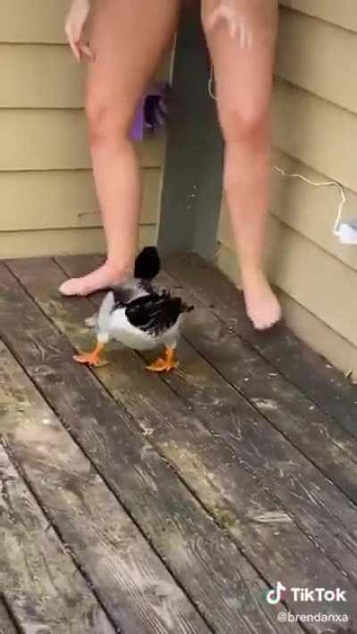 I heard you like Garry