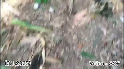 KNLA (Karen National Liberation Army) and PDF (People's Defense Force) SOF [Rebels] clash with the Myanmar/Burmese Junta Army between December 30, 2024-January 3, 2025. There were at least 40 Junta Casualties.