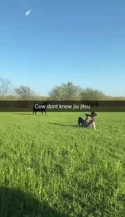 Woody trying to fight a cow