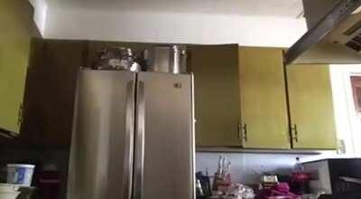 Say hi to my little sister