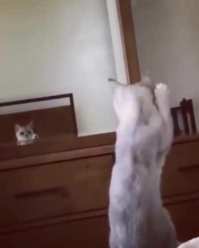 she found out that she has ears