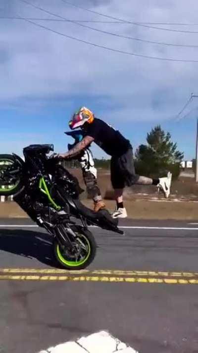 Gotta start 'em young, I guess