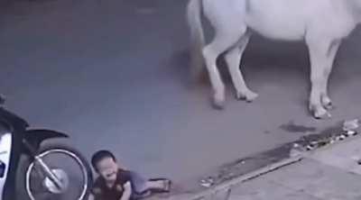 to pet a horse.