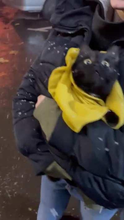 Watching falling snow with wide eyes