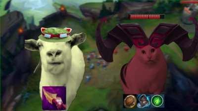 Ranged vs tank matchup is funny