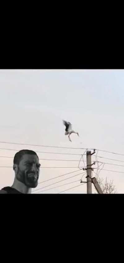 Humanity still alive 🙏