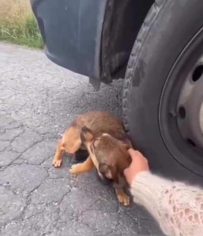 Love is stronger than anything