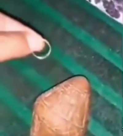 Professor Sakharov would love to get his hands on this artifact