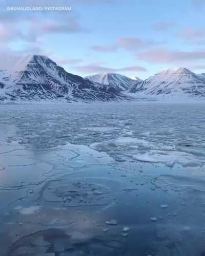 I literally got goosebumps watching this.