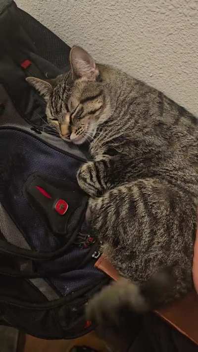 She does NOT want to be woken up right now