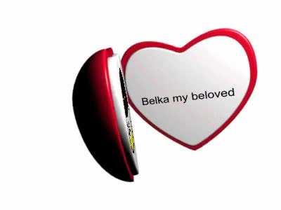 Belka did nothing wrong