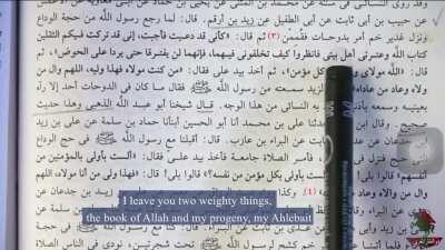 Proof Of AhlulBayt in Sunni Books