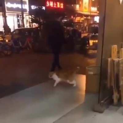 Broken svens be like