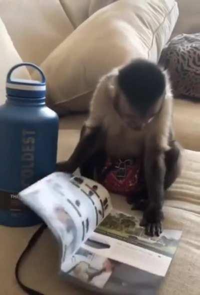 Hydro homes getting a new bottle be like... (original post by monalistic on imgur)