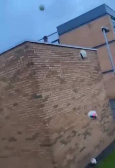 We all have that one freind you send up the tree/roof