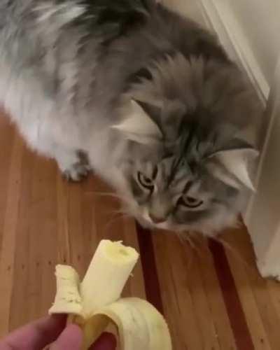 That isn't what I ordered!