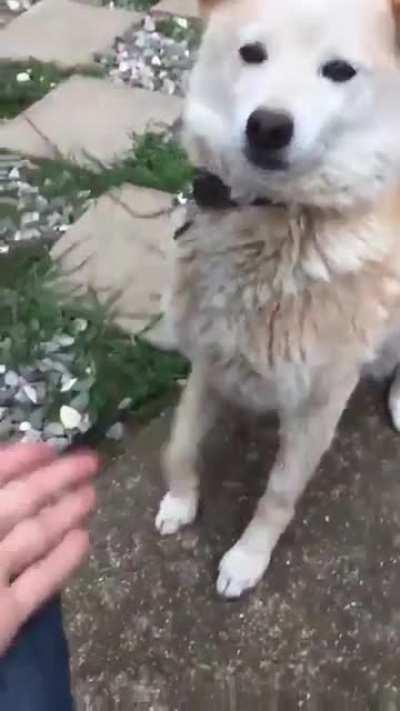 High five went wrong