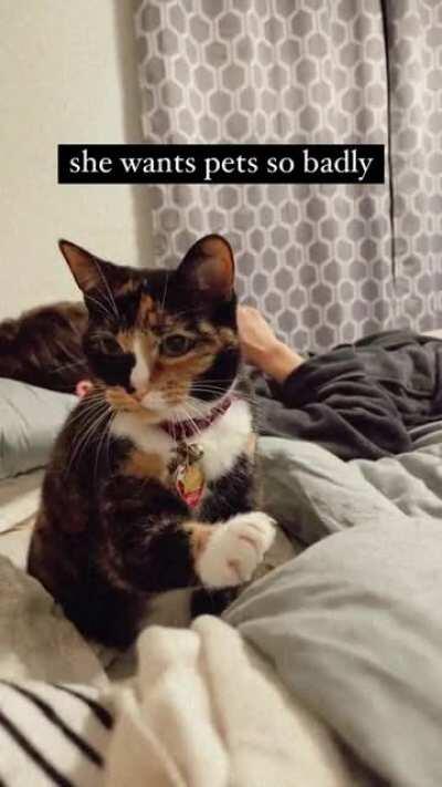 she’s always so threatening with her dang claws! (yes i trim them often, she just likes scratching posts 😂)