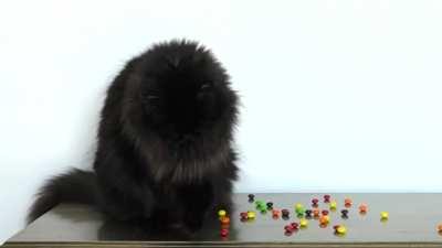 When she watches them roll away