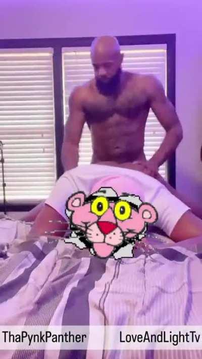 What's King doing to the Pink Panther?!?!?!😱😭😱😭😱😭😱😭😱😭😱😭😱😭