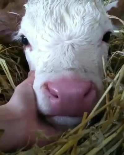 I always hope these posts make at least a few people pause to consider their actions when they scroll by them....