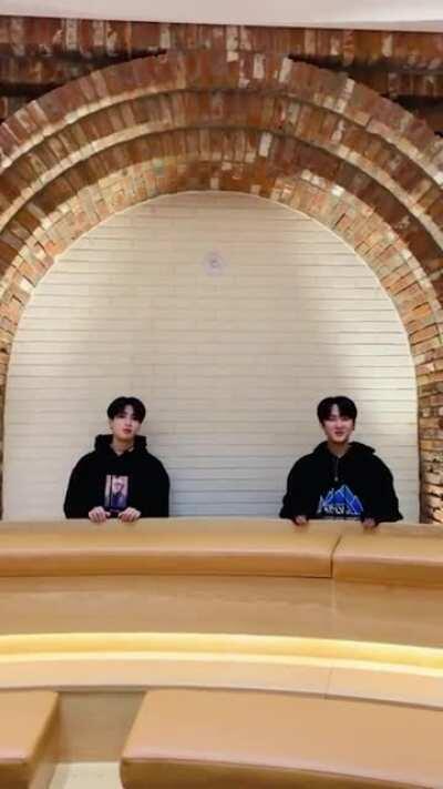 210414 TikTok Ad - Going Dumb! Alesso x Stray Kids x CORSAK. Out now!