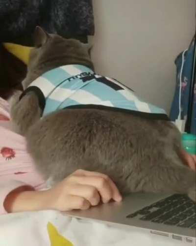 Chonkonomics in action.