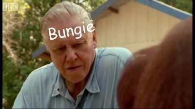 Actual footage seconds before The Finale Shape leaked