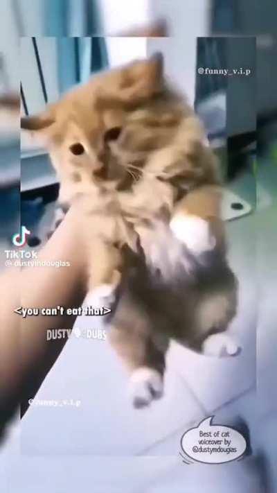 Jeremy couldn't eat that