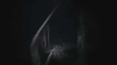 You wanna fight! (parashockX)