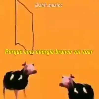 Peguei esse meme do discord