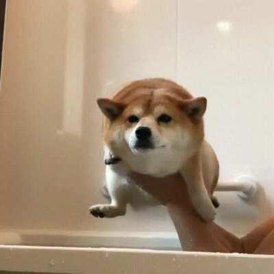 Water fluff ready for deployment.