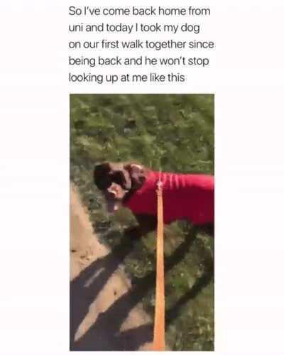 Because to them, you are the whole world.
