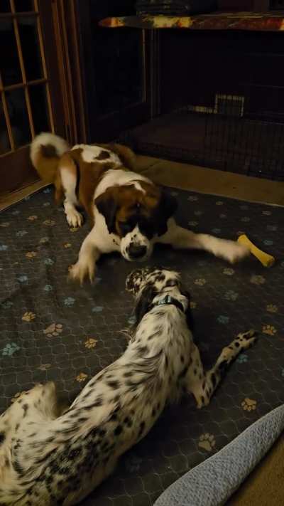 Wally made a new friend!