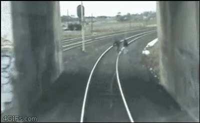 I dont know if he was drunk or just stupid