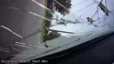 I swear, South Carolina drivers are the worst. Some idiot couldn’t keep his phone down long enough to see a red light on a six lane highway. Feeling lucky that my dogs and I walked away from this with minor injuries, but damn, what a waste of a good Tacom